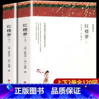 红楼梦(上/下册)120回 完整版 [正版]上下2册 带注释导读红楼梦原著完整版无删减 四大名著之一 高中阅读初中生小学