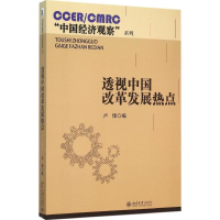 音像透视中国改革发展热点卢锋 编