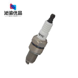 沁渝优品 火花塞汽油机配件 F6TC 个