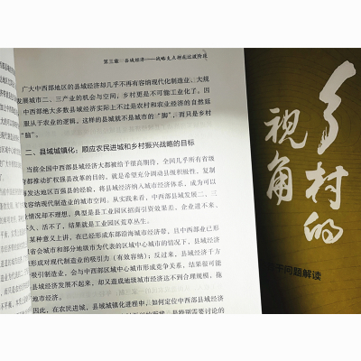 乡村的视角:乡村振兴与共同富裕若干问题解读