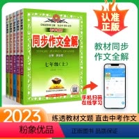 作文全解 九年级/初中三年级 [正版]同步作文全解七年级八年级九年级上册下册人教版 同步作文全析作文素材初中教辅工具书练