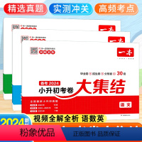 [备考2024-3本]语文+数学+英语 小学升初中 [正版]2024新小升初考卷大集结语文数学英语小学毕业升学考卷大集结