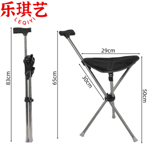 乐琪艺