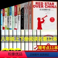 [全套12册]八年级阅读书籍 [正版]八年级12册 红星照耀中国和昆虫记必读原著完整版初二上册下册课外书8上名著海底两万