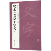 正版新书]智永真草千字文/中国历代经典碑帖/经典全集杨建飞9787