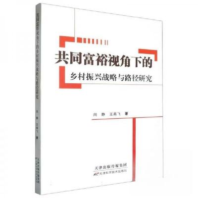 正版新书]共同富裕视角下的乡村振兴战略与路径研究闫静;王燕飞