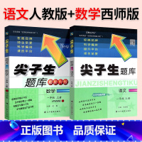 ❤❤[地区推荐2本]人教语文+西师数学 三年级下 [正版]2024春尖子生题库二三年级四五年级六一年级上下册数学语文人教