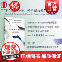 王尔德叶芝乔伊斯与他们的父亲 群岛图书长岛作者科尔姆托宾作品上海译文出版社爱尔兰文化外国长篇小说讲稿合集外国小说