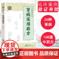 肾病实用验方 中医病症效验方丛书 验方新编 中医验方大全 奇效验方 广东科技出版社店