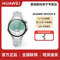 HUAWEI WATCH 5 42mm 基础款 不锈钢表壳 极光绿 氟橡胶表带首创X-TAP智感窗鸿蒙AI腕上小艺eSIM通信