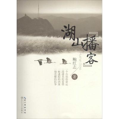 正版新书]湖山
