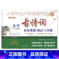 古诗词 小学升初中 [正版]2023小升初小学毕业升学真题详解古诗词文言文阅读与理解积累与运用3-6三四五六年级小学升初