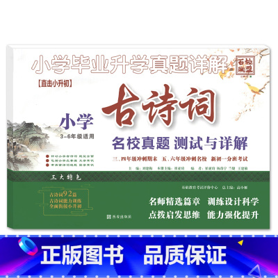 古诗词 小学升初中 [正版]2023小升初小学毕业升学真题详解古诗词文言文阅读与理解积累与运用3-6三四五六年级小学升初