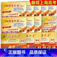 2012-2024灿烂在六月 高考真卷 套装3本 上海 [正版]任选2025版灿烂在六月上海市高考模拟强化测试精编 语文