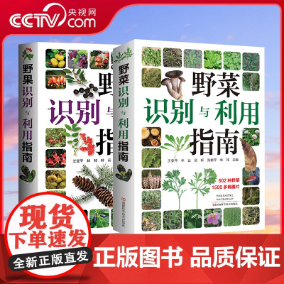 [央视网]野果识别与利用指南+ 野菜识别与利用指南 2本套 野果野菜指南正版书籍 HN