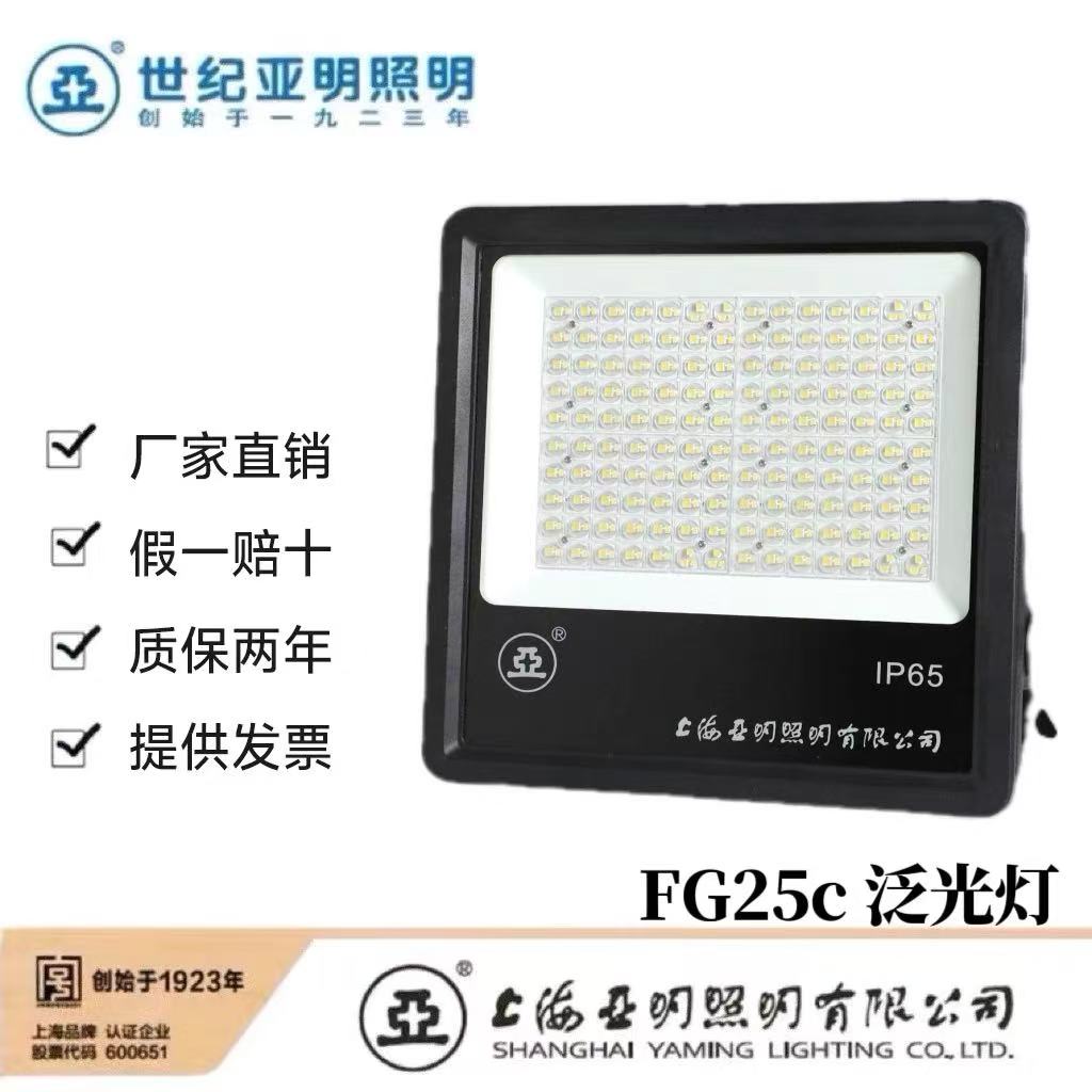 世纪亚明(揽月系列)泛光灯 FG25c 个