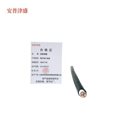 安普津盛 铜芯电力电缆YJV3*10mm 米