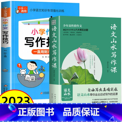 [小学通用]山水写作+写作技巧 初中通用 [正版]抖音同款语文山水写作课中小学作文素材 初中生语文山水作文课 初一初二初