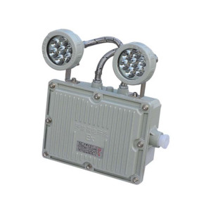 LHDQ 领航电器 LHB1113-2×1W 防爆应急灯 冷白 IP65 灰色 2W