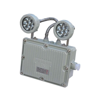 LHDQ 领航电器 LHB1113-2×1W 防爆应急灯 冷白 IP65