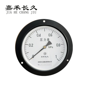 嘉禾长久 轴向带边压力表检测型 Y150ZT 块
