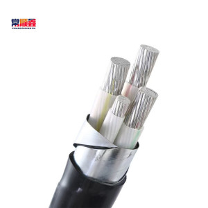 常顺鑫 低压铝芯电缆 ZC-YJLV22 3×120+1×70 米