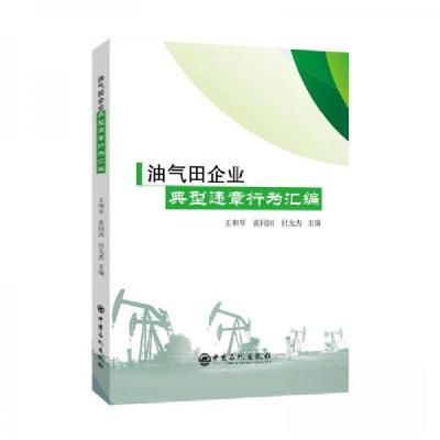 正版新书]油气田企业典型违章行为汇编王和琴 张同国 付云杰9787