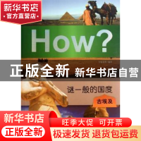 正版 谜一般的国度:古埃及 灵狐若明编著 新世界出版社 978751042