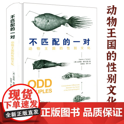 [精装]不匹配的一对:动物王国的性别文化 (美)达芙妮·费尔贝恩 著书籍