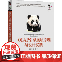 正版 OLAP引擎底层原理与设计实践 机械工业出版社 高英举,许一腾 著 数据库