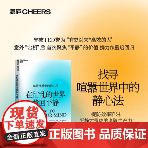 在忙乱的世界找回平静 克里斯·贝利 著 心理学