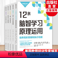 新课堂学习译丛系列5册 [正版]单本可选新课堂学习译丛系列5册 元认知学习深度学习专注学习 中小学老师教师教育工作者学习