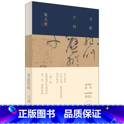 [正版]书法答问朱天曙书法创作研究教学经验学习书法欣赏名作领略中国艺术蕴涵艺术书法篆刻 揭开中国书法技艺道的面纱书法理