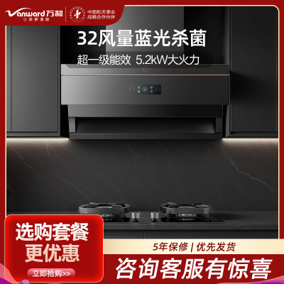 万和(Vanward)32m³吸力顶侧双吸WL890+JZT-G6L50 5.2KW燃气灶天然气灶具家用烟灶套装