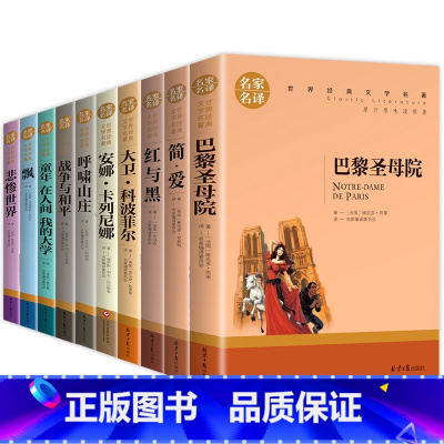 世界名著全10册 [正版]世界文学名著全套10册 简爱书籍 巴黎圣母院 战争与和平 悲惨世界书 飘原著文学原版书经典