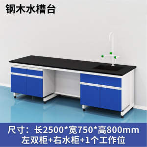 易企采 250CM钢木水槽台C款 实验室测试化验操作工作台耐酸碱试剂台 单位:张