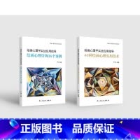 全二册 [正版]绘画心理咨询36个案例,40种绘画心理学实用技术(全二册)严虎 民主与建设 gz