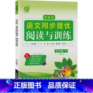 语文 五年级下 [正版]2024年春 小学语文实验班同步提优阅读与训练五年级语文下册人教版 5年级下册RJ版阅读理解写作