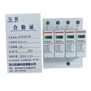 廷穗(TINGSUI)浪涌保护器 XNU6-60 只