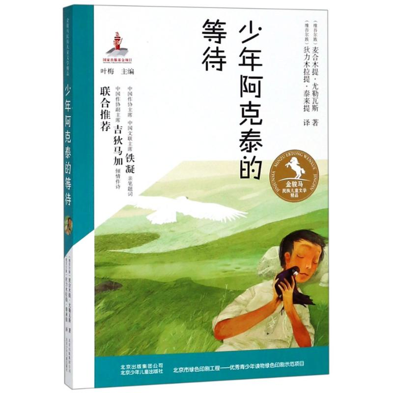 音像少年阿克泰的等待麦合木提·尤勒瓦斯