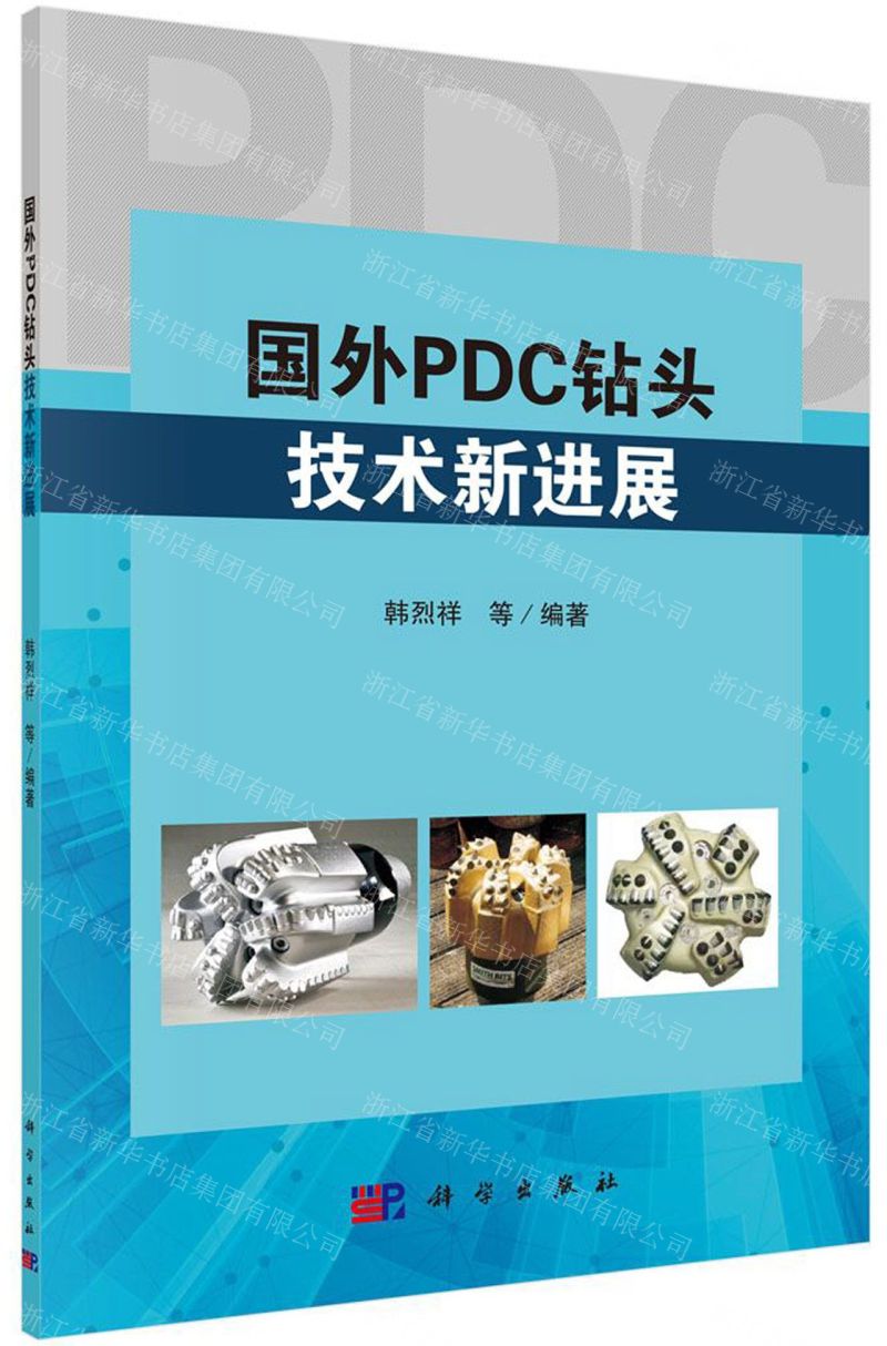 [N]国外PDC钻头技术新进展-9787030627438