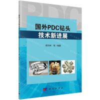 [N]国外PDC钻头技术新进展-9787030627438