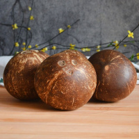 [熊猫鸟]海南椰皇 6个装 新鲜椰子 当季热带水果 汁水充沛