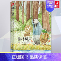 柳林风声(平装) [正版]柳林风声 手绘彩插珍藏版 小学生三四五六年级青少年版必课外书阅读课外书籍老师寒暑假儿童文学阅读