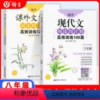 八年级/初中二年级 [正版]周计划初中现代文阅读高效训练100篇+课外文言文120篇八年级/8年级 上下册 人教全国版初