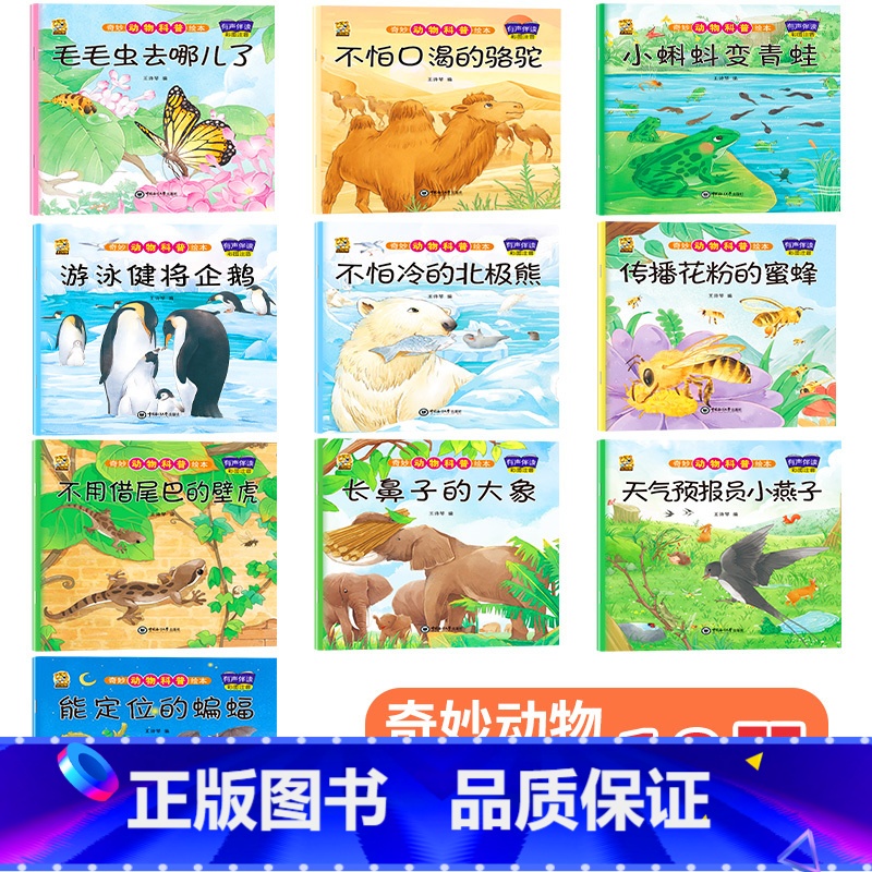 [10本240页]科普二 [正版]儿童绘本3一4一6岁幼儿园阅读绘本故事书0-1到3岁动物科普幼儿百科毛毛虫小蝌蚪找妈妈