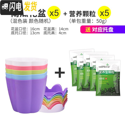 三维工匠大号加厚塑料花卉多肉花盆家用园艺种莓苗大盆栽绿萝花盆送托盘 花盆混色五个(送底托)+5包营养颗粒 大花盆容器