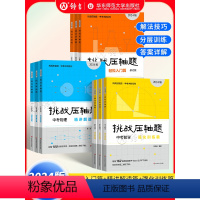 [3册]中考数学 轻松入门篇+强化训练篇+精讲解读篇 九年级/初中三年级 [正版]2024新版挑战压轴题中考数学强化训练