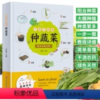 [正版]手把手教你种蔬菜 图说蔬菜栽培技术 蔬菜栽培种植技术大全书籍 种菜栽培实用手册 蔬菜种植技术室内室外的私家菜园