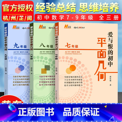 数学 八年级/初中二年级 [正版]新版爱与恨的初中平面几何 七八九年级几何课黄东坡培优新方法系列丛书初一二三789年级辅